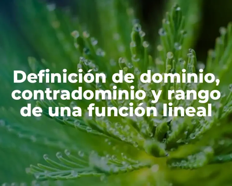 Definición de dominio, contradominio y rango de una función lineal