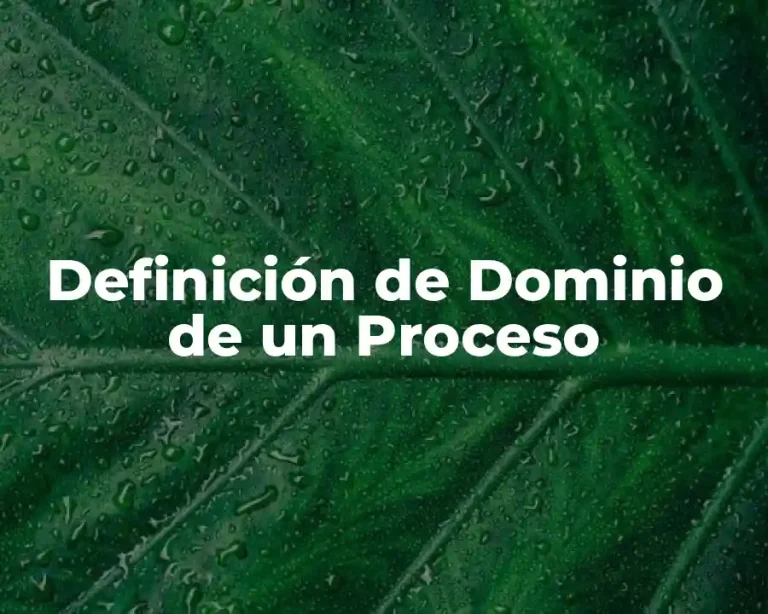 Definición de Dominio de un Proceso