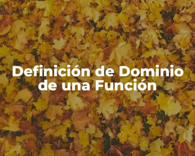 Definición de Dominio de una Función