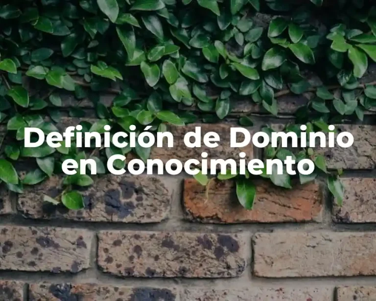 Definición de Dominio en Conocimiento
