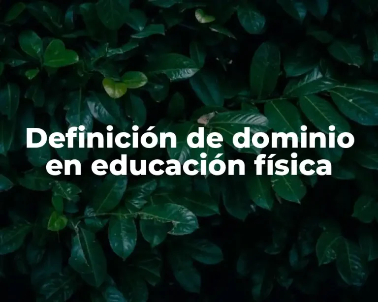 Definición de dominio en educación física