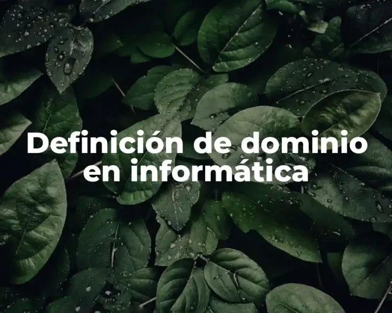 Definición de dominio en informática