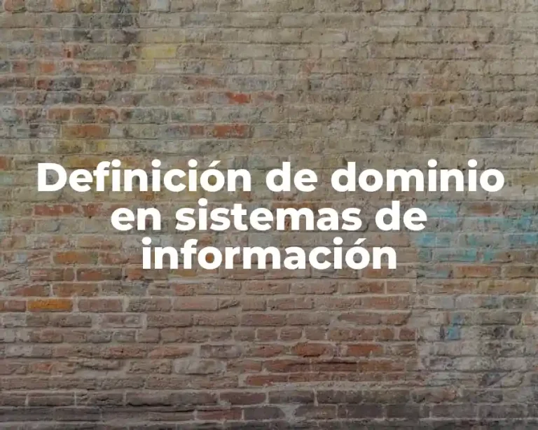 Definición de dominio en sistemas de información