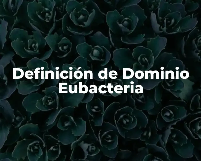 Definición de Dominio Eubacteria