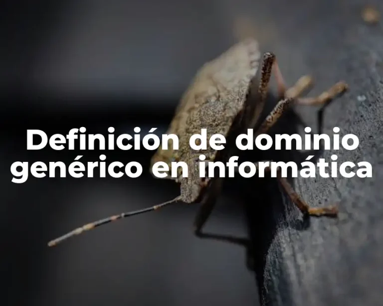 Definición de dominio genérico en informática