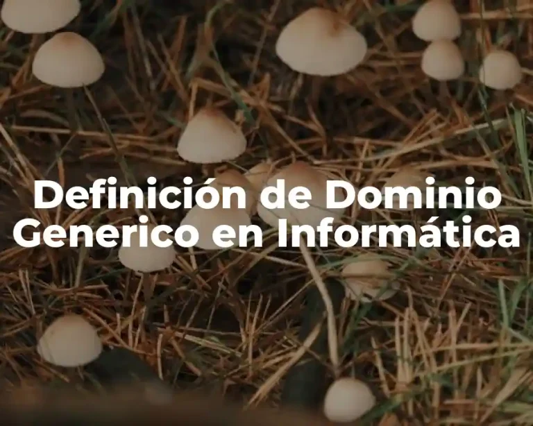 Definición de Dominio Generico en Informática