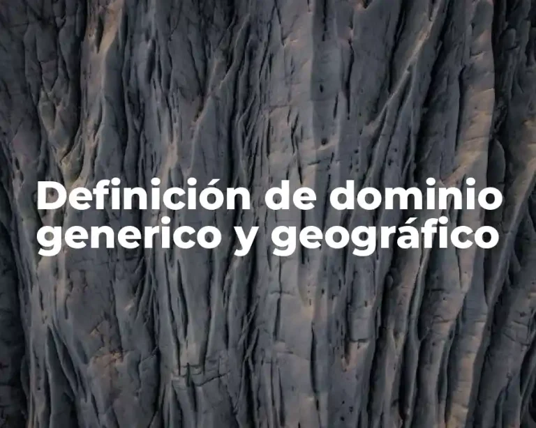 Definición de dominio generico y geográfico