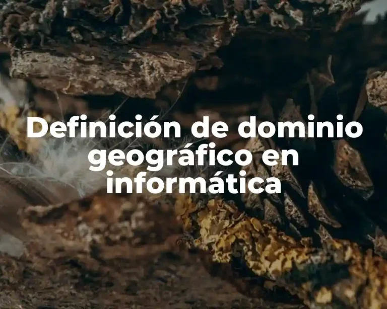Definición de dominio geográfico en informática