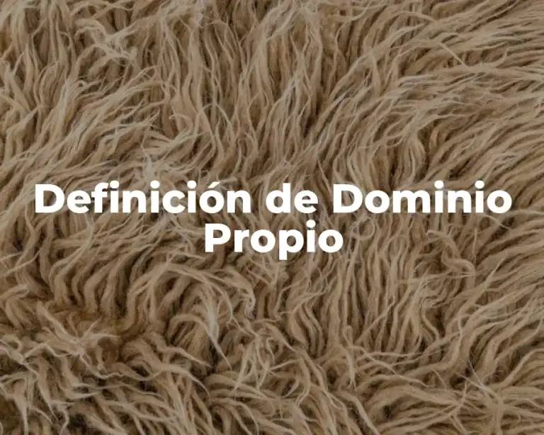 Definición de Dominio Propio