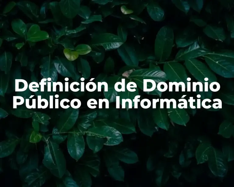 Definición de Dominio Público en Informática