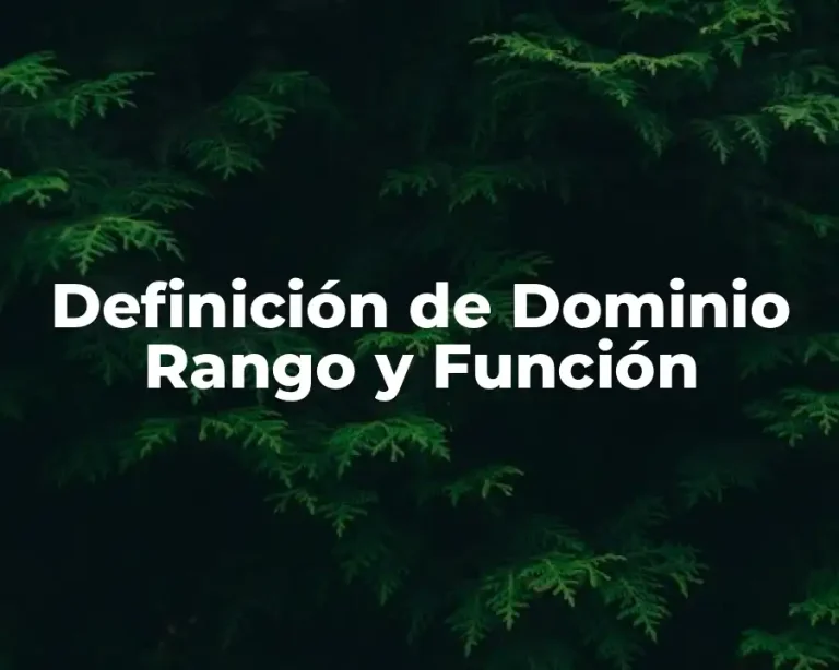 Definición de Dominio Rango y Función