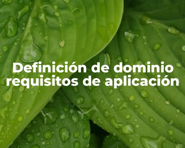Definición de dominio requisitos de aplicación