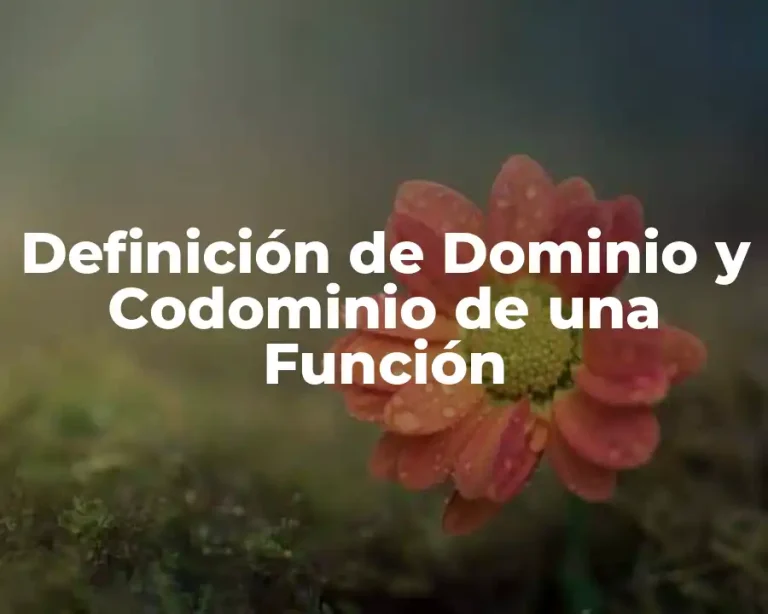 Definición de Dominio y Codominio de una Función