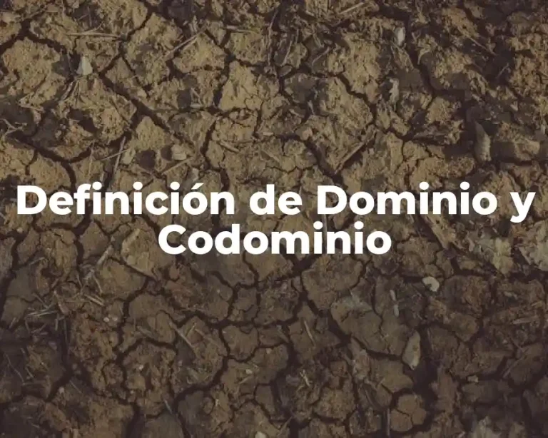 Definición de Dominio y Codominio