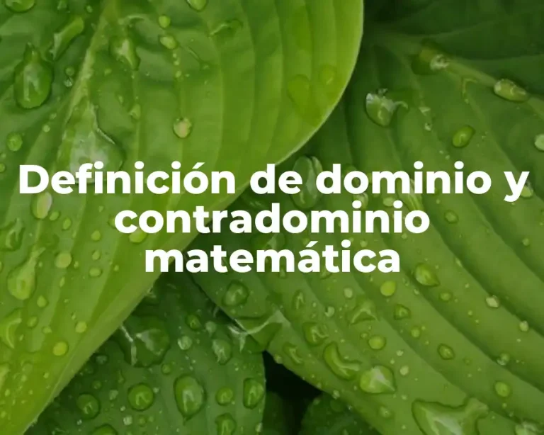 Definición de dominio y contradominio matemática