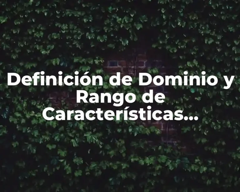 Definición de Dominio y Rango de Características Especiales