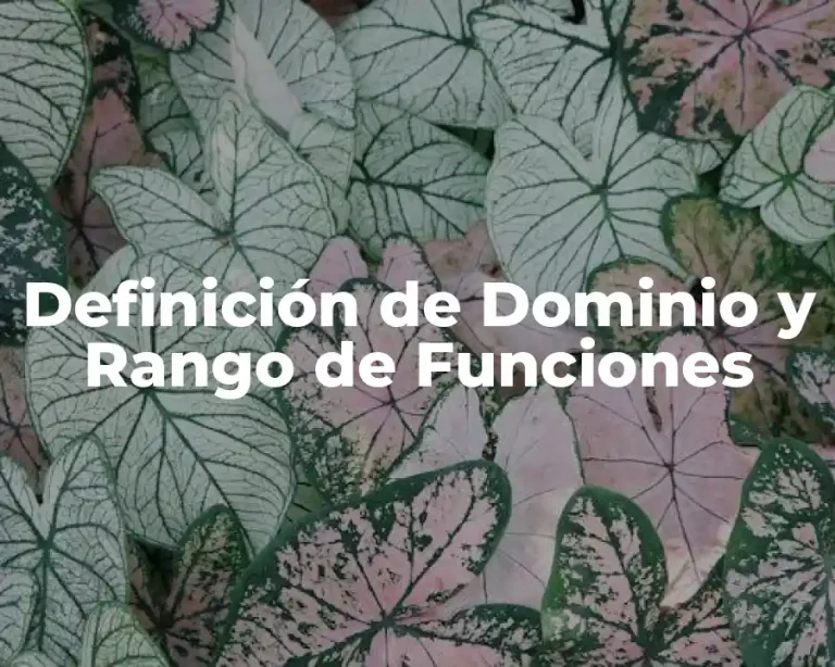Definición de Dominio y Rango de Funciones
