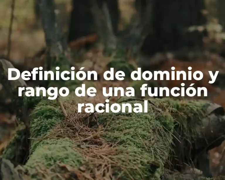 Definición de dominio y rango de una función racional