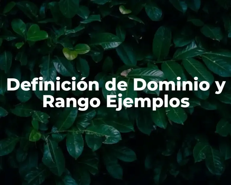 Definición de Dominio y Rango Ejemplos