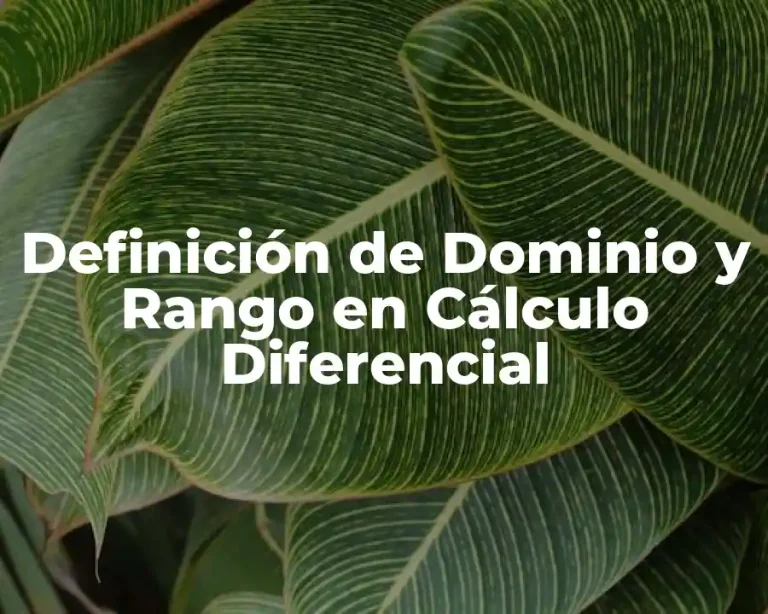 Definición de Dominio y Rango en Cálculo Diferencial