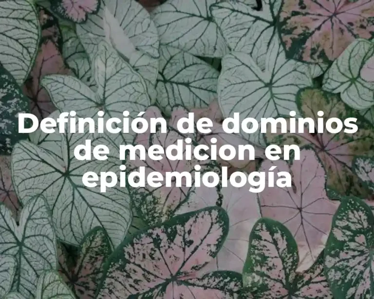 Definición de dominios de medicion en epidemiología