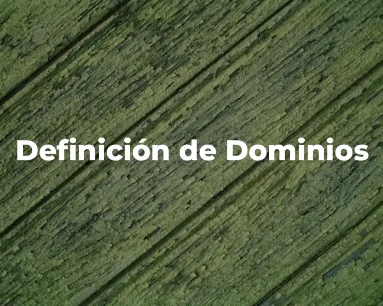 Definición de Dominios