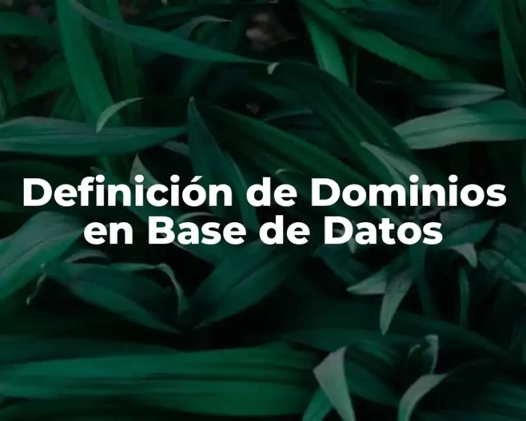 Definición de Dominios en Base de Datos