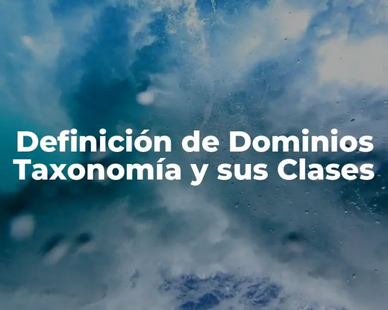Definición de Dominios Taxonomía y sus Clases