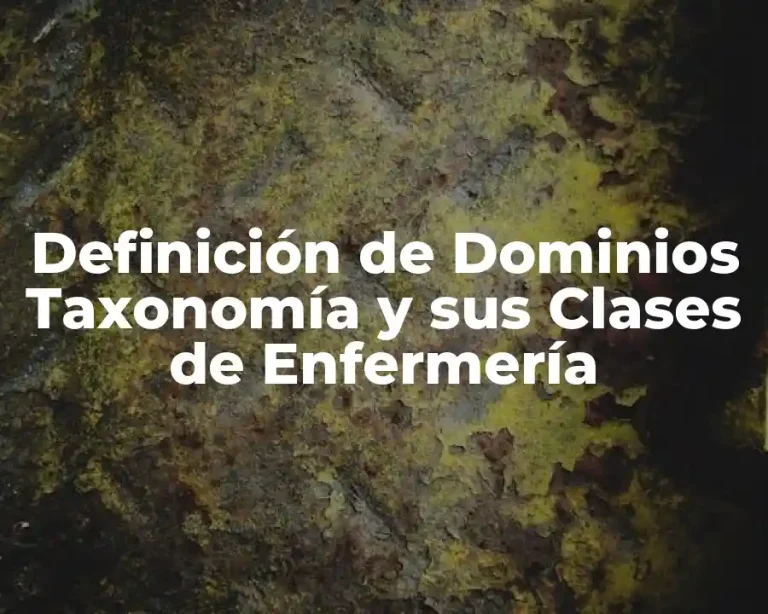 Definición de Dominios Taxonomía y sus Clases de Enfermería