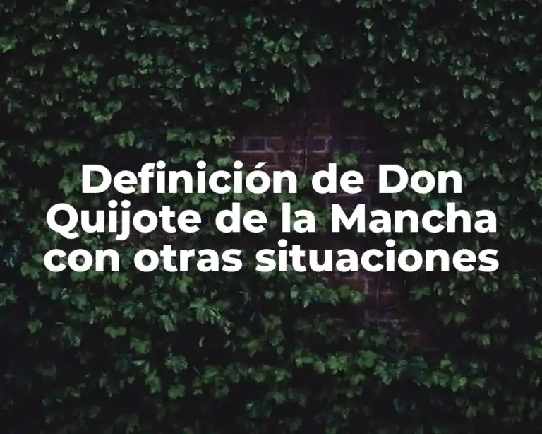 Definición de Don Quijote de la Mancha con otras situaciones