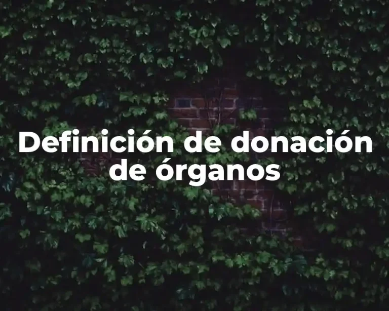 Definición de donación de órganos