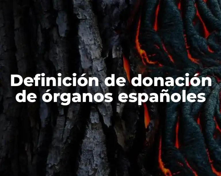 Definición de donación de órganos españoles