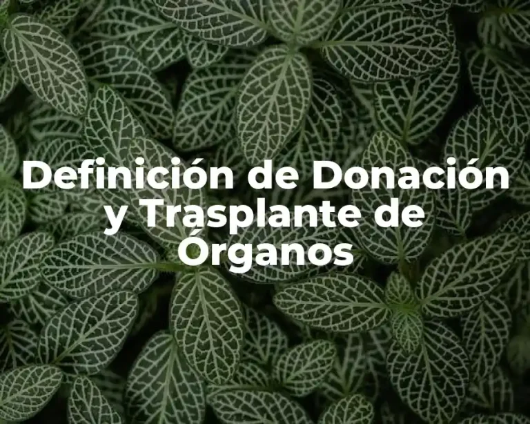 Definición de Donación y Trasplante de Órganos