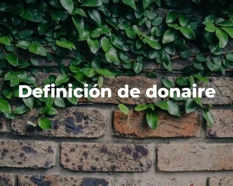 Definición de donaire