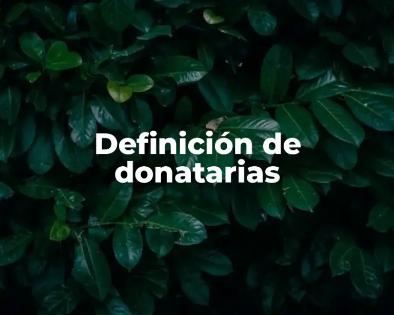 Definición de donatarias