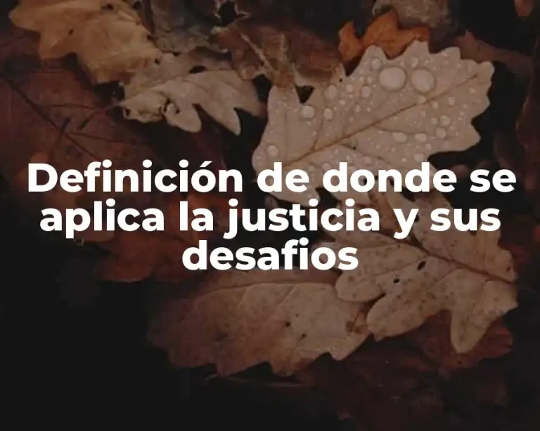 Definición de donde se aplica la justicia y sus desafios