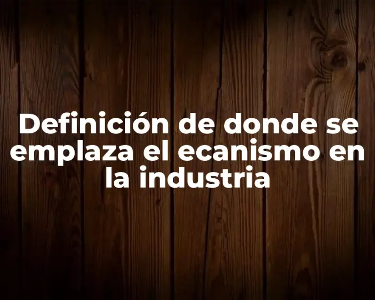 Definición de donde se emplaza el ecanismo en la industria