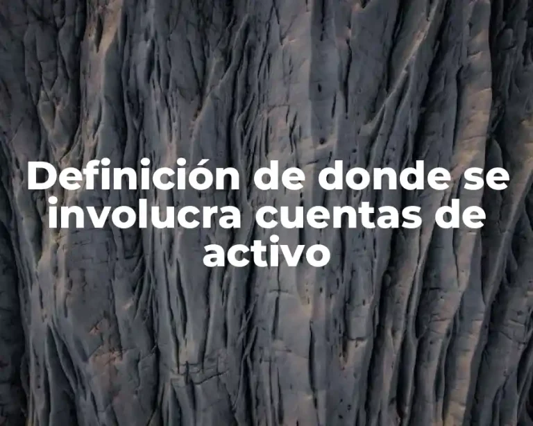 Definición de donde se involucra cuentas de activo