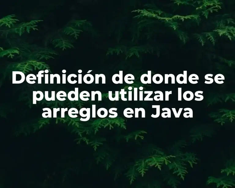 Definición de donde se pueden utilizar los arreglos en Java