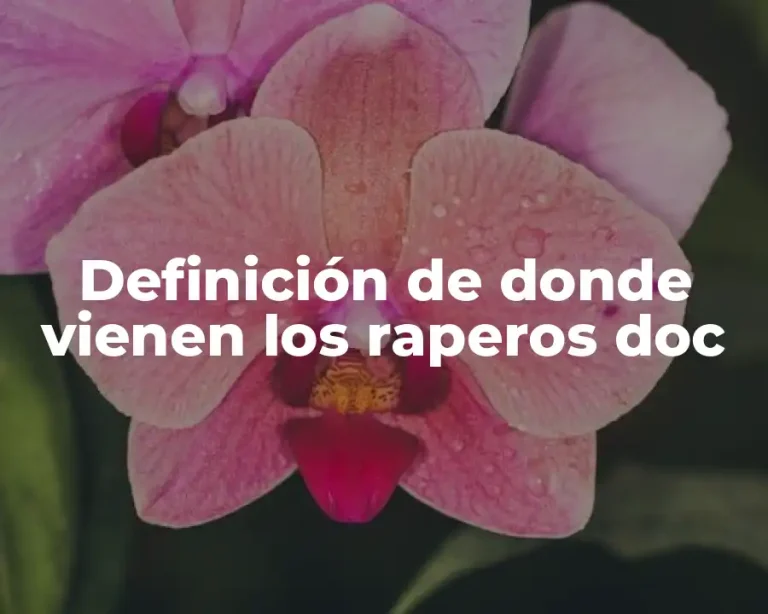 Definición de donde vienen los raperos doc