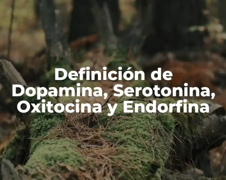 Definición de Dopamina, Serotonina, Oxitocina y Endorfina