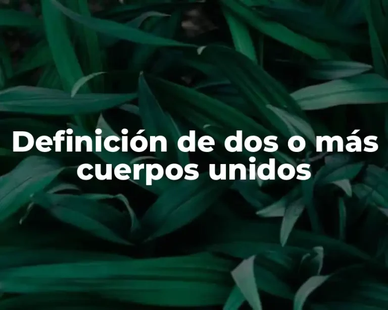 Definición de dos o más cuerpos unidos