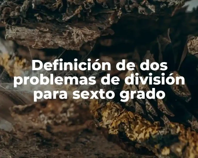 Definición de dos problemas de división para sexto grado