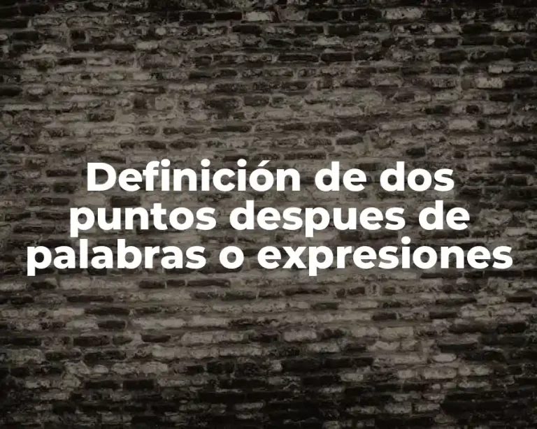 Definición de dos puntos despues de palabras o expresiones