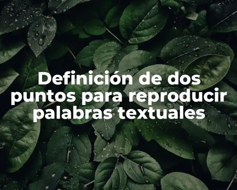 Definición de dos puntos para reproducir palabras textuales