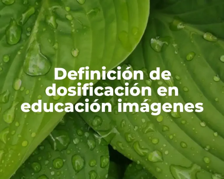 Definición de dosificación en educación imágenes