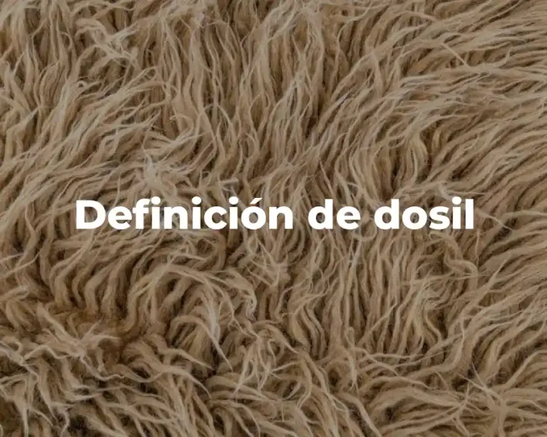 Definición de dosil