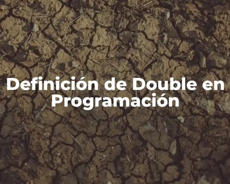 Definición de Double en Programación