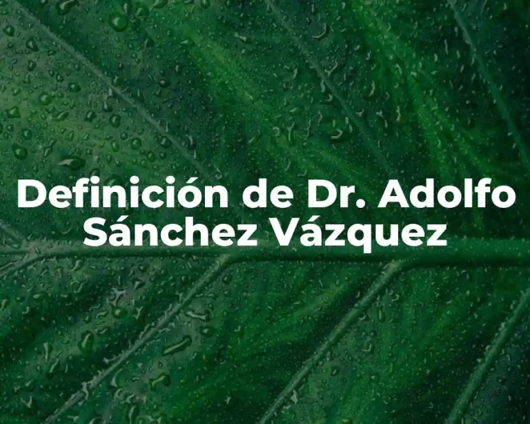 Definición de Dr. Adolfo Sánchez Vázquez