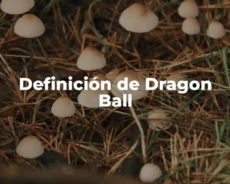 Definición de Dragon Ball